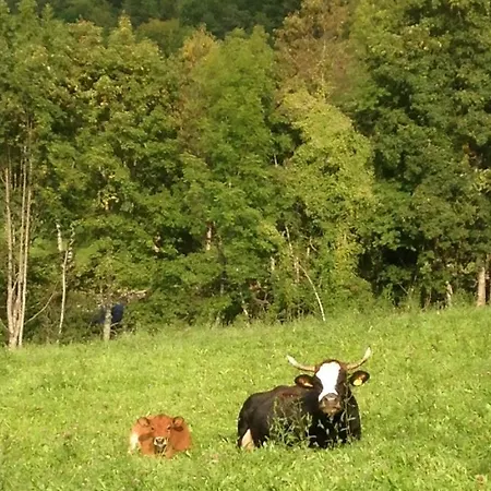 La Casa Sul Poggio Gasthof Santo Stefano dʼAveto